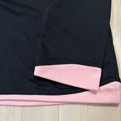 champion レディースウェアの画像