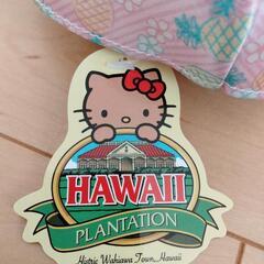 可愛く日焼け・ハローキティのハワイぬいぐるみの画像