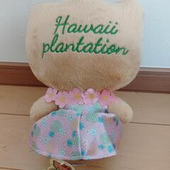 可愛く日焼け・ハローキティのハワイぬいぐるみの画像
