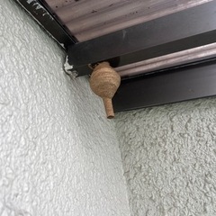 【蜂の巣駆除】　美祢市　見積もり無料 − 山口県