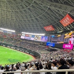 野球観戦行こっ！