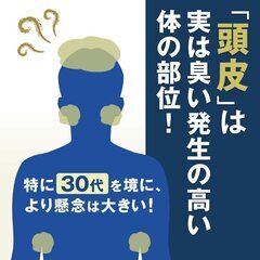 h&s ドライシャンプー スカルプリフレッシャー 65ml 12個セットの画像