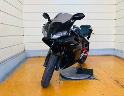 1737km メガリ250r 中型★ 始動動画あり