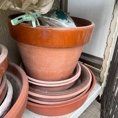 植木鉢いくつでもあげますの画像