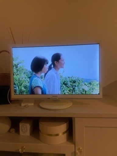 SHARP 24V ホワイトテレビ【⠀テレビ台セット可能】