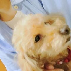 【一旦募集停止】私、甘える事を知ってしまったワン