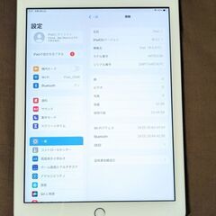 APPLE iPad IPAD 第5世代 WI-FI 32GB シルバー