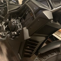 レブル250 ディアブロ　アンダーカウル・エンジンカバー　v2 セット