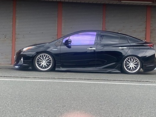 ロクサーニ　マルタフォルケッタ