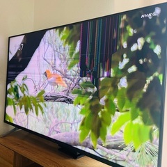 アイリスオーヤマ テレビ 55型の中古が安い！激安で譲ります
