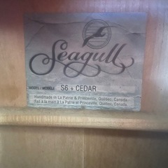 アコースティックギターSeagull の画像
