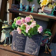 🌷花や野菜を育ててるのが好きな人募集🌷の画像