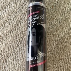 【最終価格】【新品未開封】hoyu 黒染めスプレー