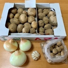 【完売です‼️】新ジャガイモ計3キロ＋おまけ付き🥔