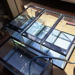 60㎝ガラス水槽　4個セットの画像