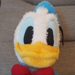 ドナルド ぬいぐるみ ディズニーリゾート 正規品の画像