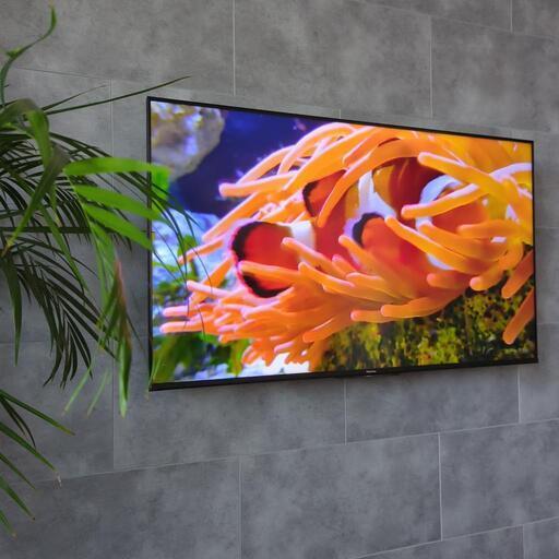 50インチ 4kテレビ hisense 50U7F