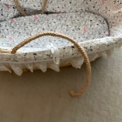 ベビーかごの画像