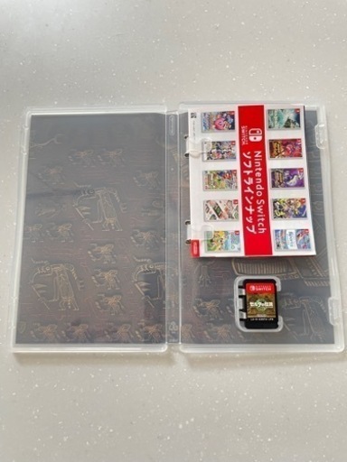 ゼルダの伝説 ティアーズオブキングダム 任天堂Switch