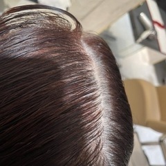 🌼急募🌼白髪染めモデルさん募集中！ - 渋谷区