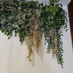 一点もの☆フェイクグリーン 一点ものの画像