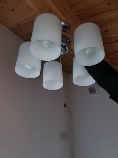 電灯
