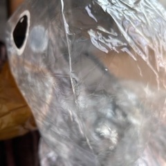 【訳あり】浮輪　アヒル　透明　プール　お風呂　クリア　ベビー　足入れタイプの画像