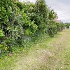 千葉県館山市犬石 #145 不動産0円物件 - 不動産