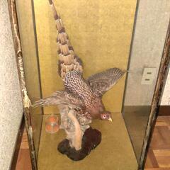 鳥の置物