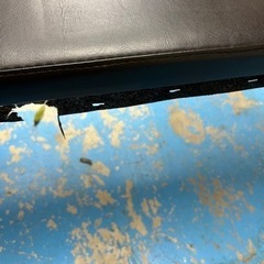 トレーニングベンチの画像