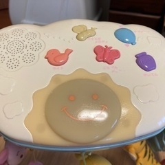 プーメリー　古い型です。の画像
