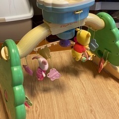 プーメリー　古い型です。の画像