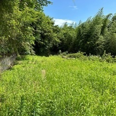 　貸出中の為、キャンセルがあればご案内可能　合計　268坪の土地でキャンプしませんか？　売却75万　平地76坪＋山林192坪　 - 宮崎市