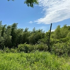 　貸出中の為、キャンセルがあればご案内可能　合計　268坪の土地でキャンプしませんか？　売却75万　平地76坪＋山林192坪　 − 宮崎県
