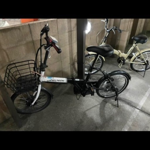 PELTECH ペルテック 折り畳み電動アシスト自転車 20インチ折り畳み外装6段変速 TDN-208L
