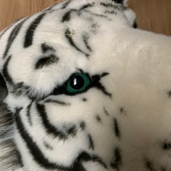 値下げ！！☆ビックサイズ☆ホワイトタイガー☆壁掛け☆インテリアの画像