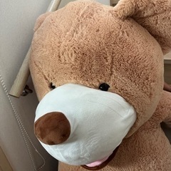 くまぬいぐるみ🧸の画像