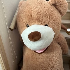 くまぬいぐるみ🧸の画像