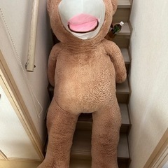 くまぬいぐるみ🧸
