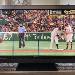 液晶テレビ46インチ　液晶に難あり