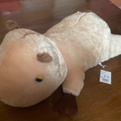 美品ちこちゃん　カピバラのぬいぐるみ1500→500の画像