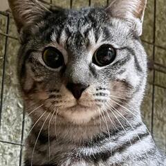 里親さん募集中