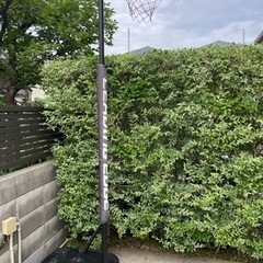 リーディングエッジ　ミニバス　バスケットゴール