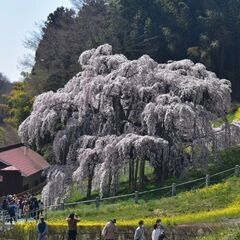 季節の写真一緒に撮りませんか?