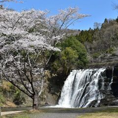 季節の写真一緒に撮りませんか? − 群馬県