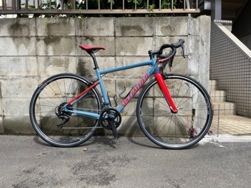 Allez elite 2019 52サイズ Specialized