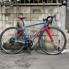 Allez elite 2019 52サイズ Specialized