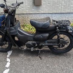 リトルカブ
