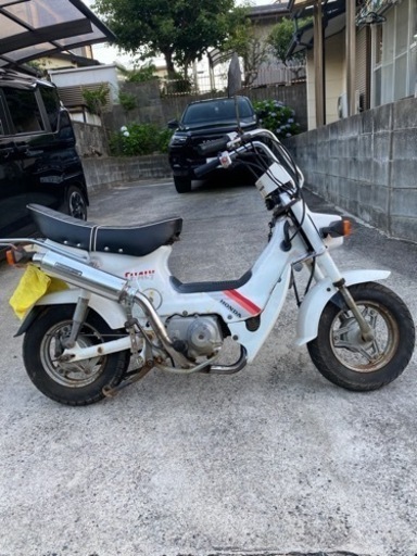 シャリー  50 実働　旧車