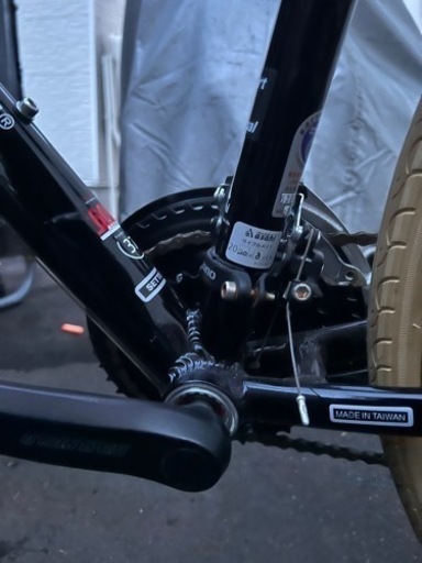 LOUIS GARNEAU  セッター8